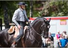 Pferd International 198